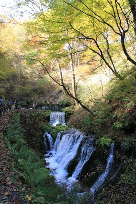 輕井澤 白絲瀑布|【日本輕井澤景點】冬天的白絲瀑布（白糸の滝），含。